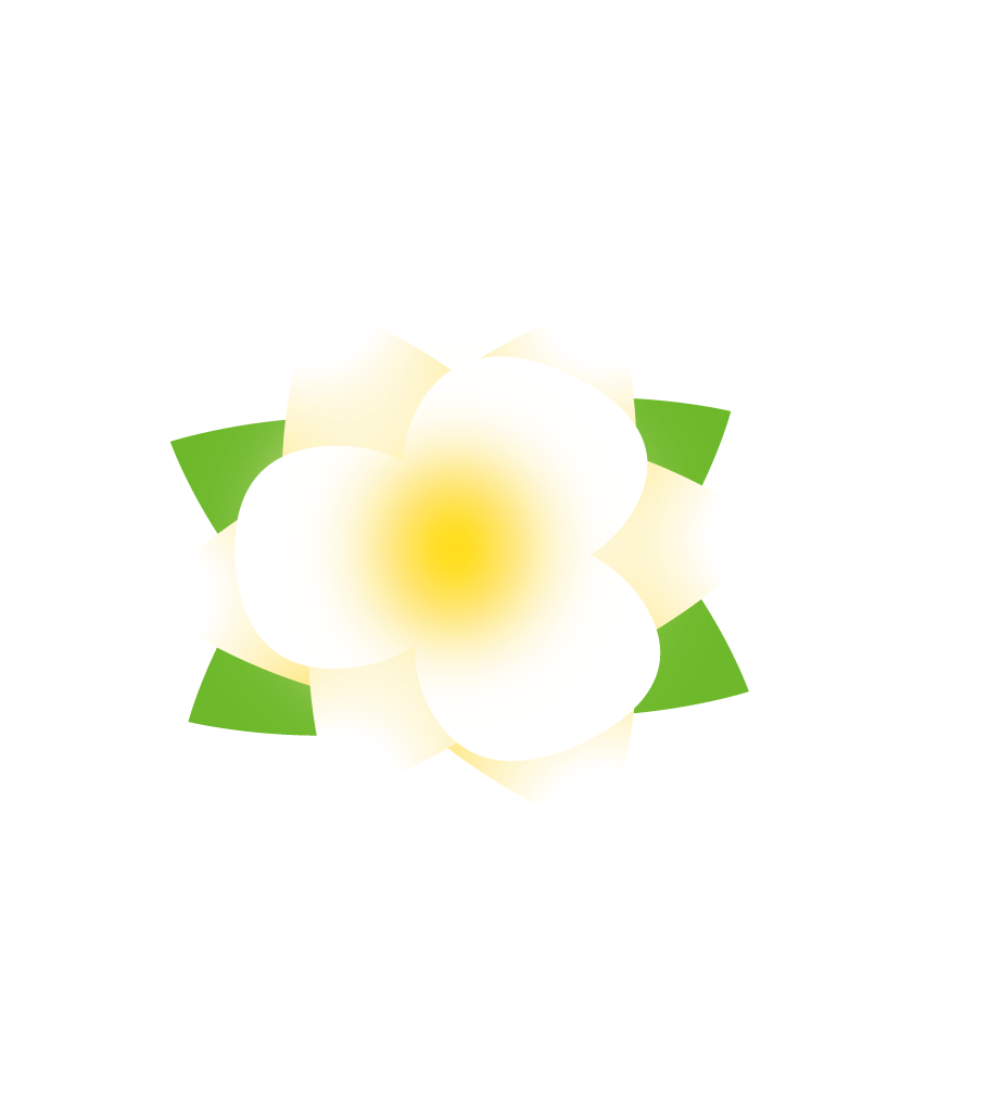 新！沖縄伝統茶さんぴん花茶／花の香り、いっそう際立つ これまでの2倍の花の量で香りづけした「香り茶葉」を新たにブレンド。「新・スッキリ花香製法」で美味しさを磨きました。
