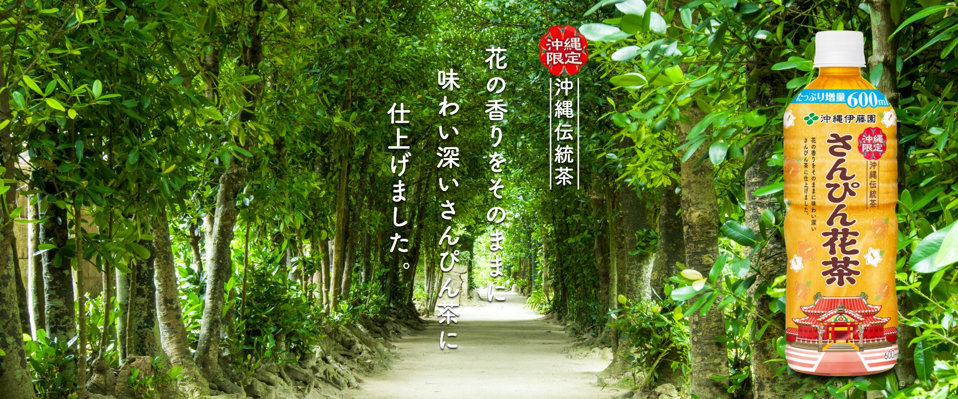 SALE／79%OFF】 ジャスミンティー さんぴん茶 さんぴん花茶 ペットボトル 沖縄伊藤園