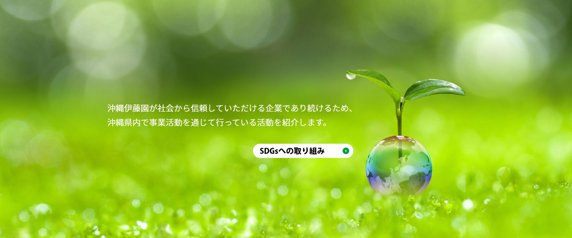 沖縄伊藤園が社会から信頼していただける企業であり続けるため、 沖縄県内で事業活動を通じて行っている活動を紹介します。